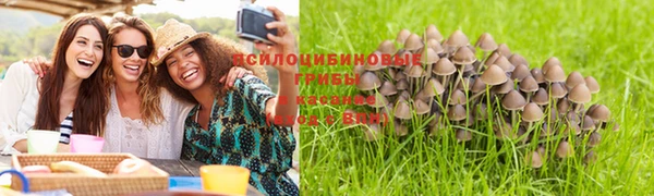 мяу мяу кристалл Остров