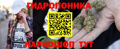 крисы Апшеронск