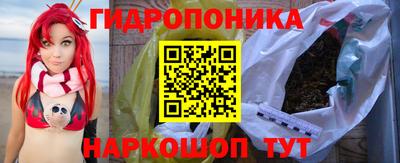 крисы Апшеронск