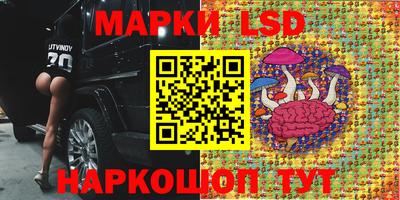 прущие грибы Апрелевка