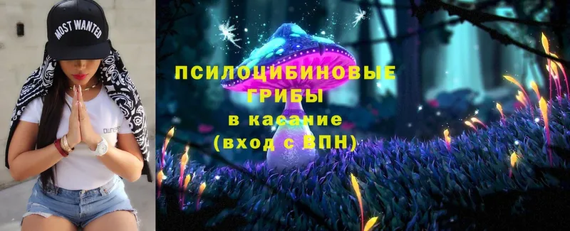 Галлюциногенные грибы прущие грибы  blacksprut   Асбест 