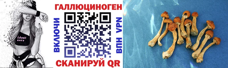 Галлюциногенные грибы Psilocybine cubensis  купить наркотики цена  MEGA зеркало  Асбест 