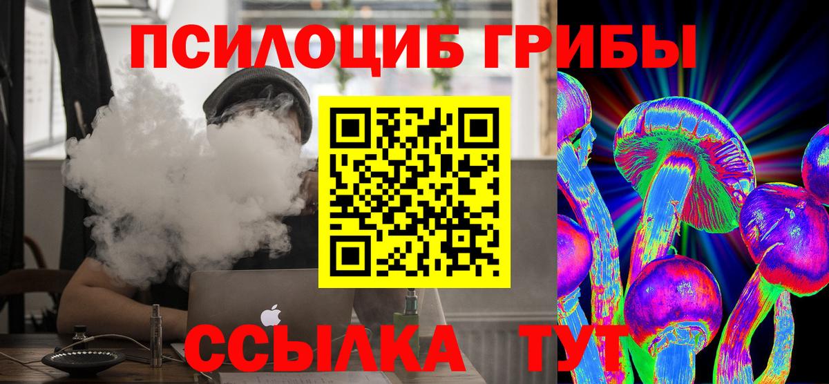 Асбест  Псилоцибиновые грибы Psilocybine cubensis  Вход с VPN 